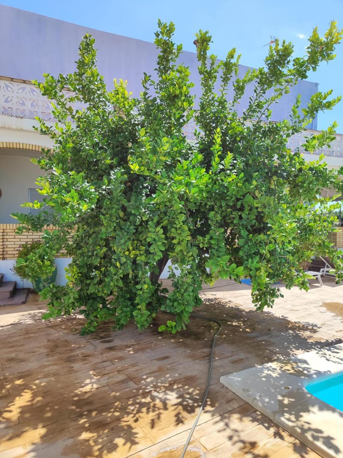 El Recreo, Private Pool & Bbq Godelleta Exterior foto